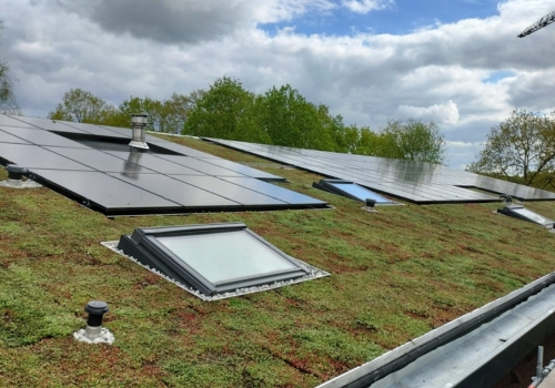 Green Roof