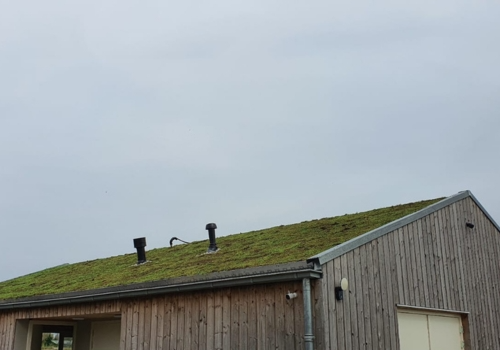 Green Roofs
